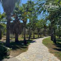 фото из отзыва ID 2725983