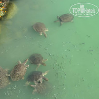 фото из отзыва ID 2725983