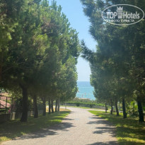 фото из отзыва ID 2725983