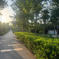 фото из отзыва ID 2725983