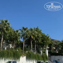 фото из отзыва ID 2725983