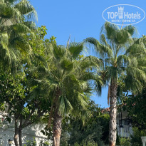 фото из отзыва ID 2725983