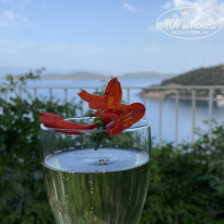 фото из отзыва ID 2726022