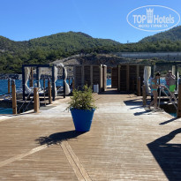 фото из отзыва ID 2726022