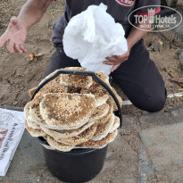 фото из отзыва ID 2726035