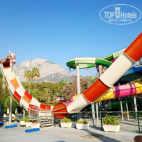 фото из отзыва ID 2726042