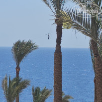 фото из отзыва ID 2726053