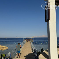 фото из отзыва ID 2726115