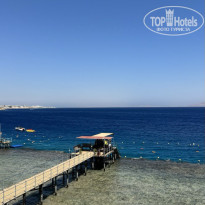 фото из отзыва ID 2726115