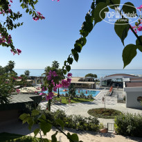 фото из отзыва ID 2726132