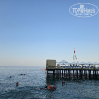 фото из отзыва ID 2726181