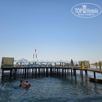 фото из отзыва ID 2726181