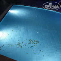 фото из отзыва ID 2726181