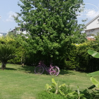 фото из отзыва ID 2726182