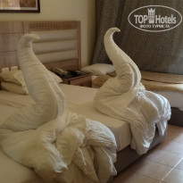 фото из отзыва ID 2726200