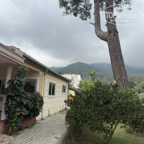 фото из отзыва ID 2726220