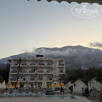 фото из отзыва ID 2726220