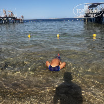 фото из отзыва ID 2726223