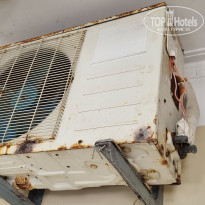 фото из отзыва ID 2726254