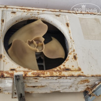 фото из отзыва ID 2726254