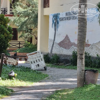 фото из отзыва ID 2726254