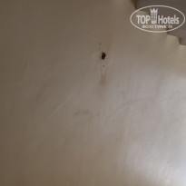 фото из отзыва ID 2726254