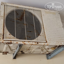 фото из отзыва ID 2726254