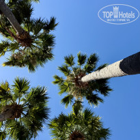 фото из отзыва ID 2726262