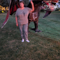 фото из отзыва ID 2726260