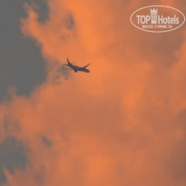 фото из отзыва ID 2726260