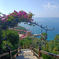 фото из отзыва ID 2726277