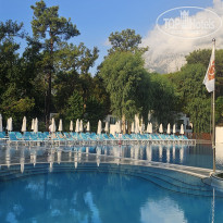 фото из отзыва ID 2725658