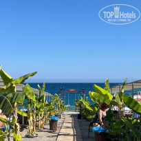 фото из отзыва ID 2726293