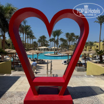 фото из отзыва ID 2726296