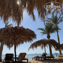 фото из отзыва ID 2726323