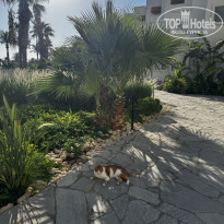 фото из отзыва ID 2726323