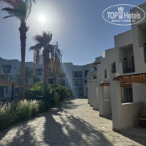 фото из отзыва ID 2726323