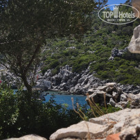 фото из отзыва ID 2723753