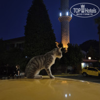 фото из отзыва ID 2723753