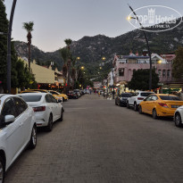 фото из отзыва ID 2723753