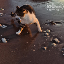 фото из отзыва ID 2723753