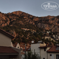 фото из отзыва ID 2723753