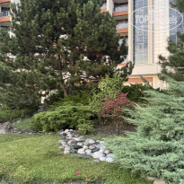 фото из отзыва ID 2720447