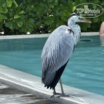 фото из отзыва ID 2726292