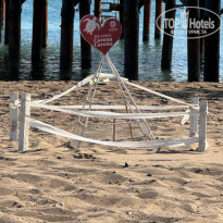 фото из отзыва ID 2726380