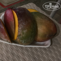 фото из отзыва ID 2726382