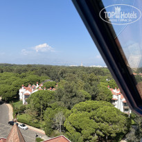 фото из отзыва ID 2726403