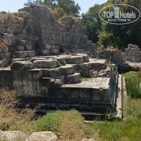 фото из отзыва ID 2726410