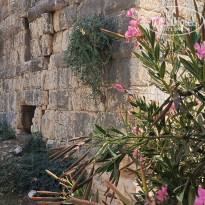 фото из отзыва ID 2726410