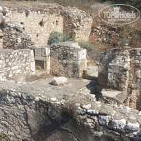 фото из отзыва ID 2726410